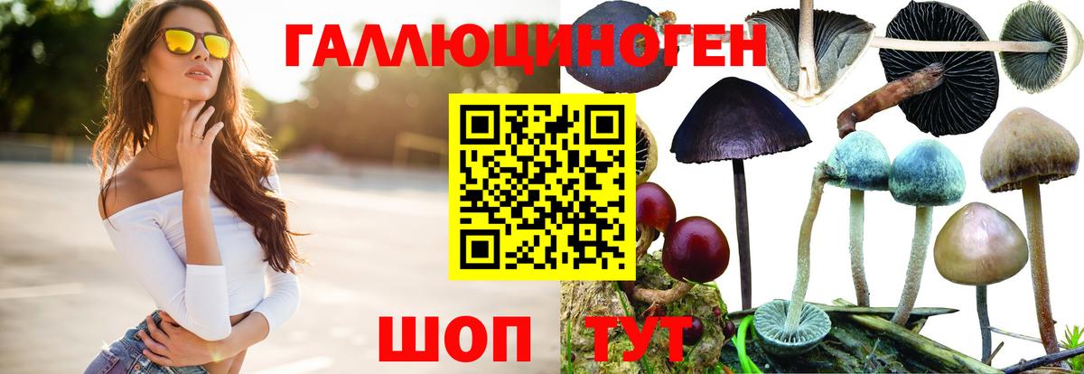 Сызрань  Псилоцибиновые грибы мицелий  Галлюциногенные грибы мицелий  дарнет шоп  Вход с VPN 